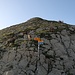 Girensattel