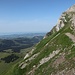 Breite Wegspur in steilem Hang