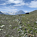 Au col de Bréona. 