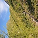 Beim vergrößern dreht sich das Foto richtig herum :)<br />Der Steig in Richtung Gruesee.<br />