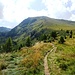 ...der auf den Kreiskogel leitet.