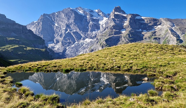 Der spiegelnde Tümpel.