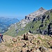 Ausblick zur Niesenkette.