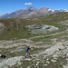 Abstieg vom Westgrat zum Wanderweg