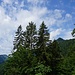 Ammergauer Alpen