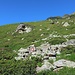 Die Markierungen leiten durch eine mit Alpenrosen bewachsene Flanke bergauf.