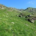 Weiter oben führt der Anstieg durch eine Grasflanke weiter bergwärts.