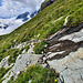 Prise d'eau du bisse sur le cours du Tännbach vers 2360m (vue arrière).