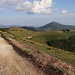 Abstieg auf dem Traktorweg