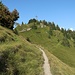 Schöner Pfad in nordalpin anmutender Landschaft