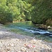 An der Radovna