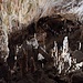Grotte von Postojna, größter Saal