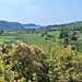 An der Landspitze kommt Piran in Sicht
