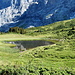 kleines Seelein unterhalb der Grossen Scheidegg