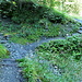auf dem Weg zur Schwarzwaldalp