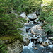 Milibach