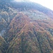 Autunno in val Codera