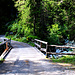 Nach knapp ½ Stunde Wandern im schattigen Wald überquert das Fahrsträsschen auf etwa 1655m ein erstes Mal den Bergbach Ava da Faller.