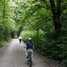Waldweg