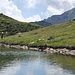 donzelle al bagno