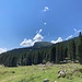 letzter Rückblick (vom Parkplatz Alp Schlund aus)