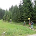 Der Aufstieg Richtung Buchauer Alm beginnt