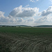 Vom Südfuss der Rhinower Berge schweift der Blick weit über das Ländchen Rhinow. Den Horizont bilden Steinberg, Struwenberg und Wuthenowsberg.