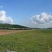 Blick vom Strässchen Stölln – Schönholz auf den ältesten Flugplatz der Welt (ICAO-Code EDOR).