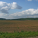 Hinter weiten Ackerflächen erheben sich Lüttchenberg und Rhinower Berge.