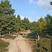 Typische Landschaft am Gollenberg.