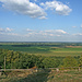 Ausblick vom Gollenberg nach Nordosten.