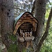 Schule im Wald