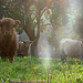 Die ganze Familie :-)
