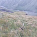 Im Gegensatz dazu ein Tiefblick im Aufstieg - die Hänge werden nach unten hin immer steiler.