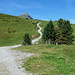 der WEg hinauf zur Kleinen Scheidegg