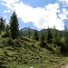 Anfangs scheint es ein weiter Weg zur Seekarspitze zu sein