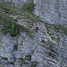 Der Anstieg auf den Dalfazer Roßkopf ist mit Seilsicherungen entschärft