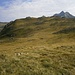 Wunderschönes Gelände zum Zapfkopf