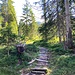 ... zur kurzen Rast am Ende des Steilanstieges nach Egglene