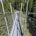 60 m lang ist die im Juli 2019 erbaute Brücke