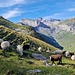 Im Schafberg. Gipfel v.l.n. r. Felsenhorn, Stäghore, Tierhöri, Grossstrubel und markant Tschingellochtighore.