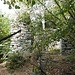 Tecc del Frate/Ol Tècc dro Fraa mit den Birkenbewohnern
