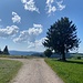 Fahrenberger Höhe<br /><br />