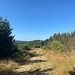 Im ersten Teil führt der Weg nahe bei der B500 vorbei. Obwohl hier nicht zu sehen, ist sie doch oft unüberhörbar.


