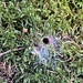 Welches Tierchen wohnt hier wohl?<br /><br />
