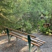 Bibergebiet am Zartenbach beim Schwefelmättle.<br /><br />