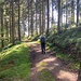 Um den Gipfel Doldenbühl herum.<br /><br />