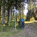 Beim Hohlen Graben in der Gegend der Türkenlouis-Schanze<br /><br />