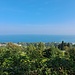 Panorama vom Schloss Wartensee