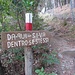 Superato l’albergo e il centro della forestale, si entra subito nel bosco fiancheggiando l’area di allevamento dei mufloni.